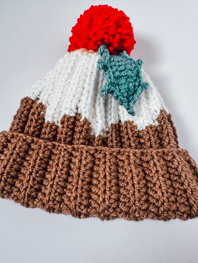 Christmas Pudding Beanie