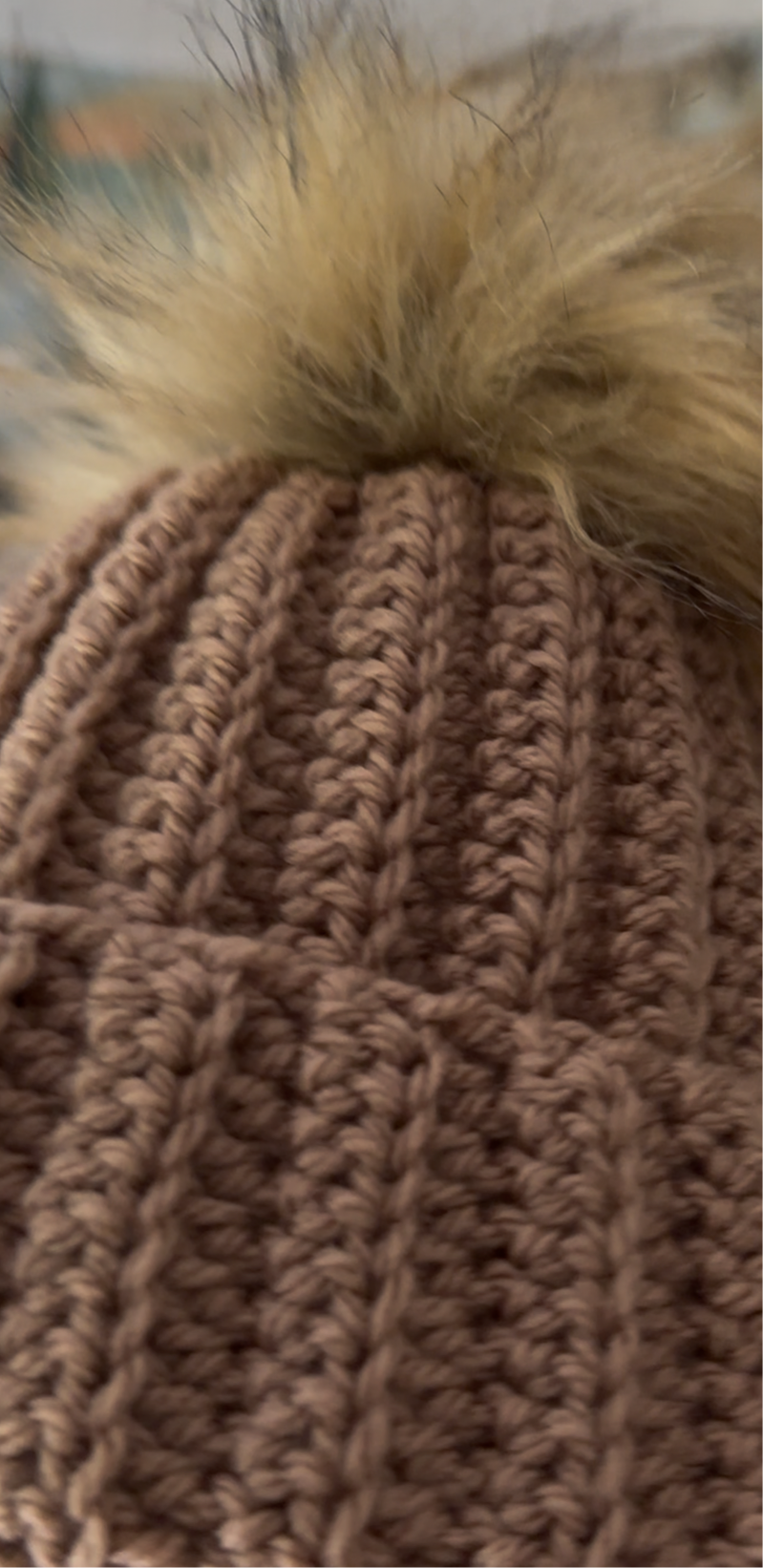 The Ribbed Beanie