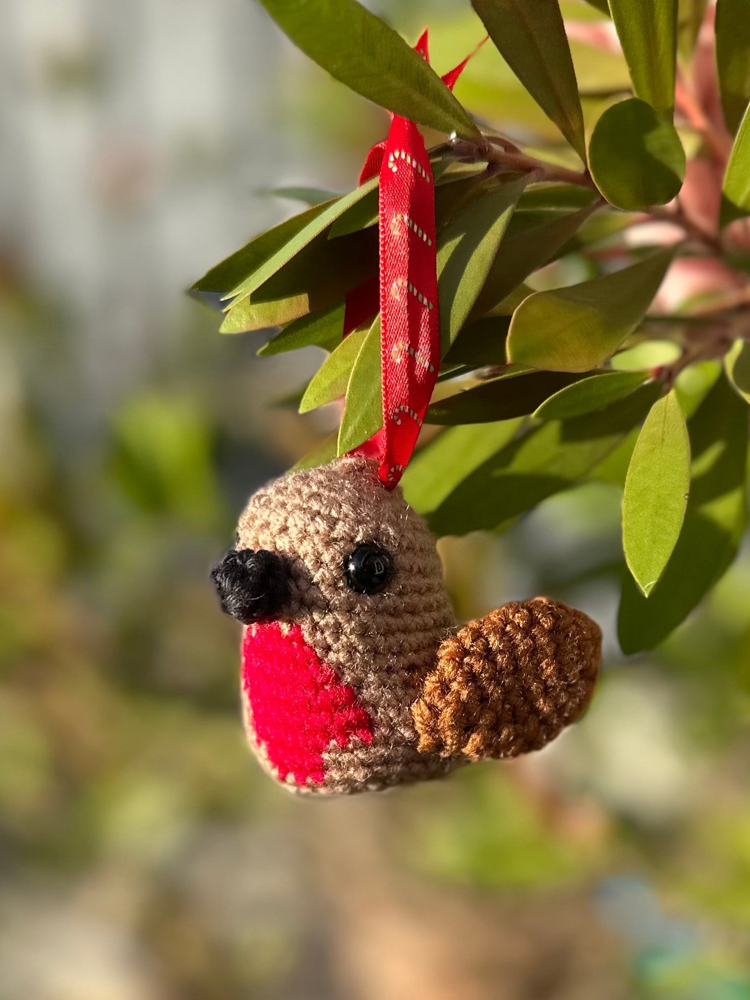 Robin Red Breast decoration