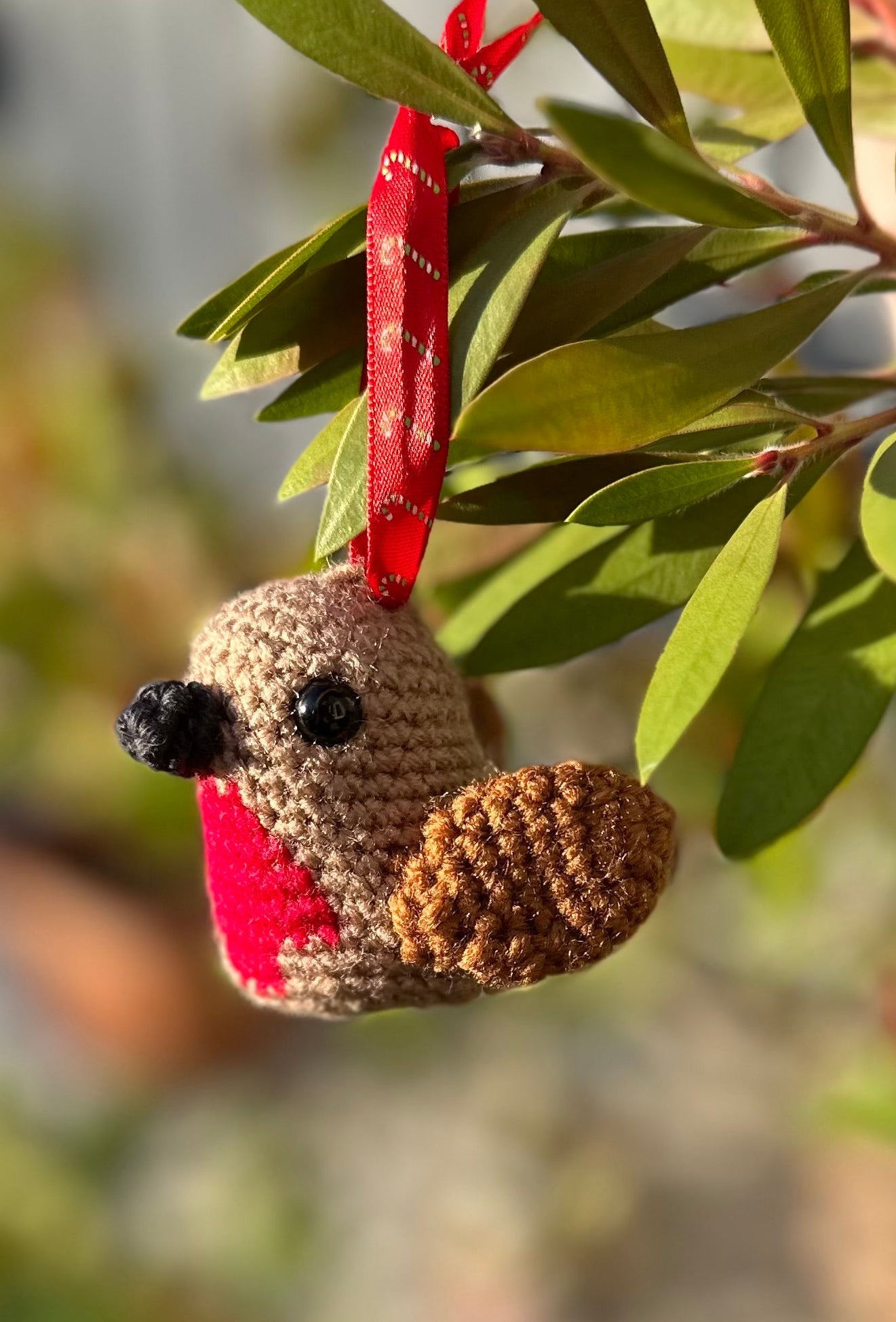 Robin Red Breast decoration