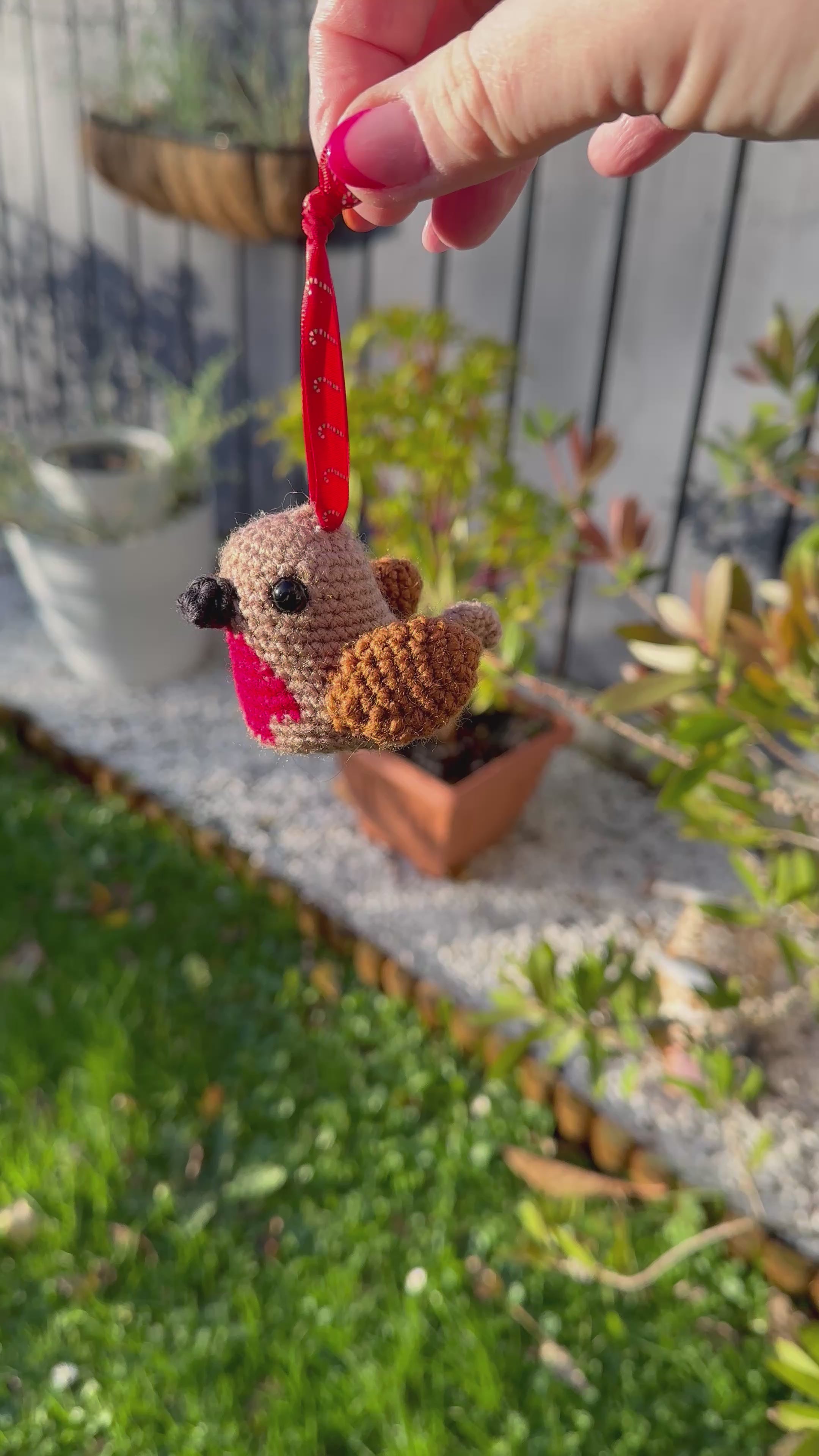 Robin Red Breast decoration